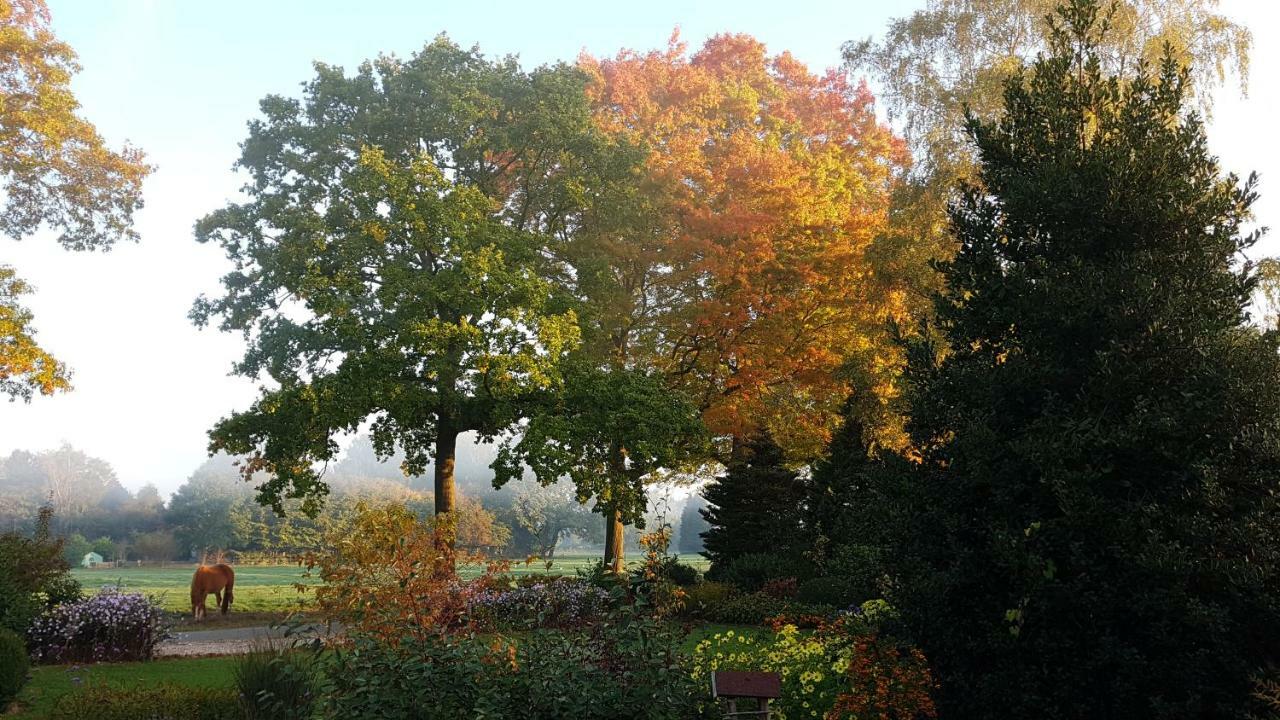 Gastenverblijf Tjoene Daire Diepenveen Dış mekan fotoğraf
